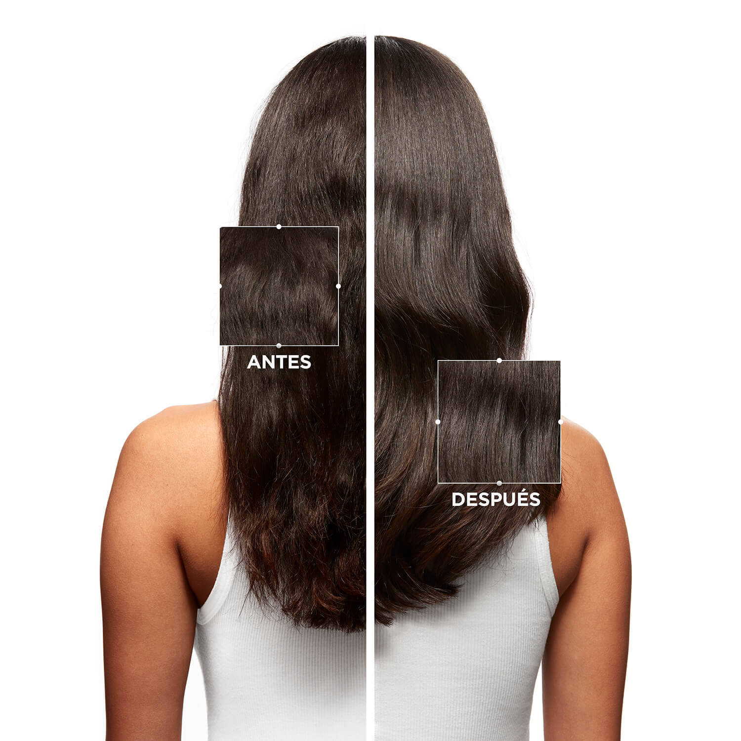 BAIN PURETE ANTI-PELLICULAIRE (SHAMPOO PARA CASPA GRASA)